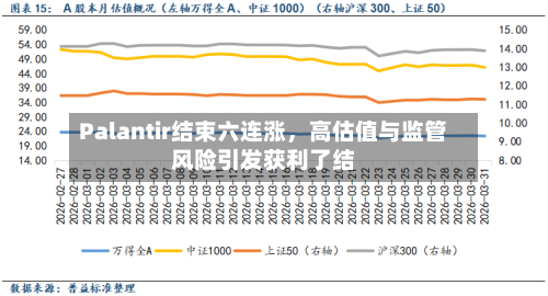 Palantir结束六连涨，高估值与监管风险引发获利了结-第2张图片