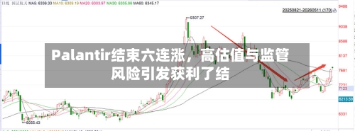 Palantir结束六连涨，高估值与监管风险引发获利了结-第1张图片