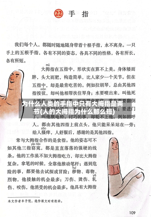 为什么人类的手指中只有大拇指是两节(人的大拇指为什么那么短)-第1张图片