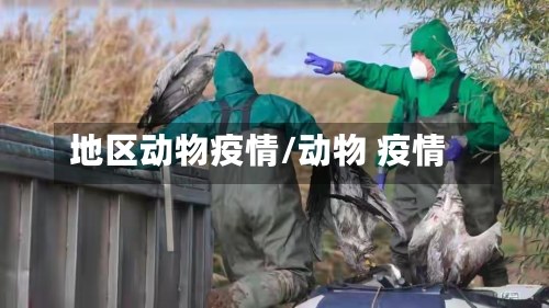 地区动物疫情/动物 疫情-第3张图片