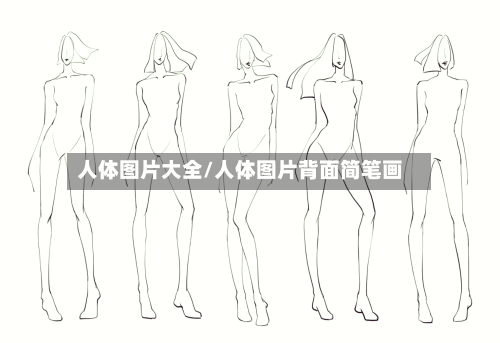 人体图片大全/人体图片背面简笔画-第1张图片