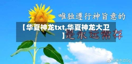 【华夏神龙txt,华夏神龙大卫】-第2张图片