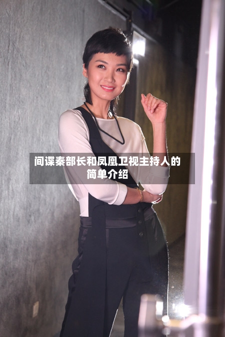 间谍秦部长和凤凰卫视主持人的简单介绍-第1张图片