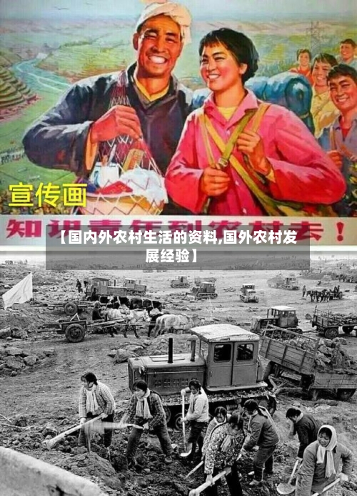 【国内外农村生活的资料,国外农村发展经验】-第1张图片
