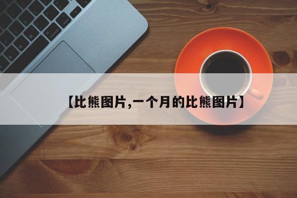 【比熊图片,一个月的比熊图片】