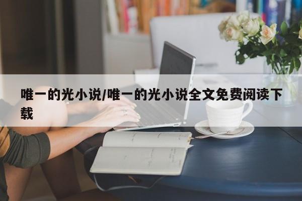 唯一的光小说/唯一的光小说全文免费阅读下载