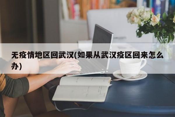 无疫情地区回武汉(如果从武汉疫区回来怎么办)